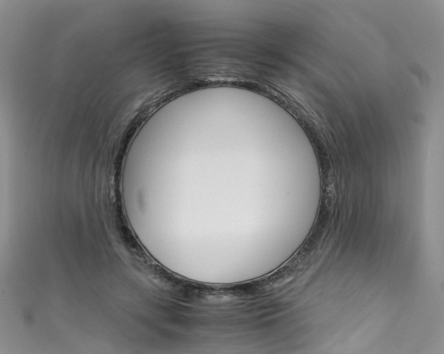 X0000111430547200907131042