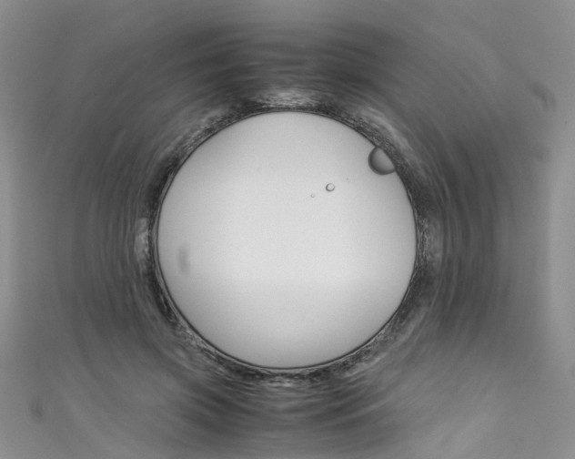 X0000111430549200907131042