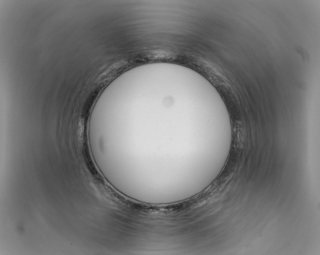 X0000111430550200907131042