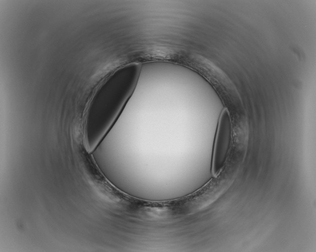 X0000111430552200907131042