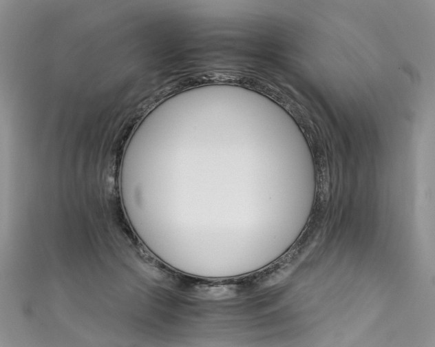 X0000111430553200907131042