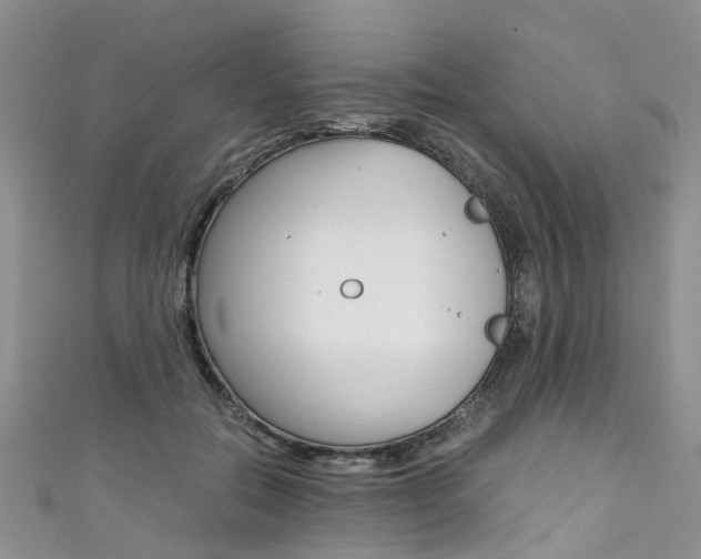 X0000111430554200907131042