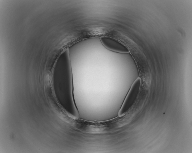 X0000111430556200907131042