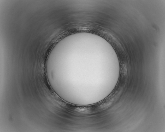 X0000111430557200907131042