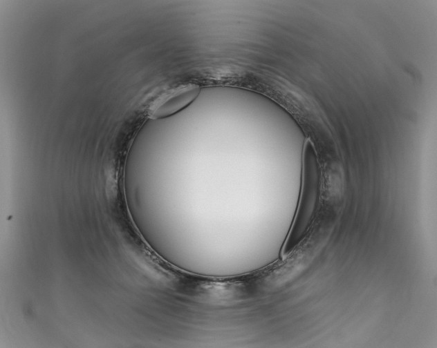 X0000111430558200907131042