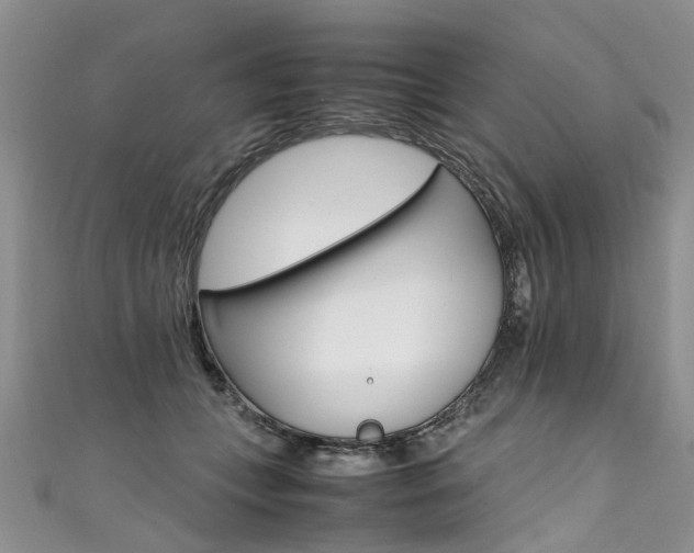 X0000111430559200907131043