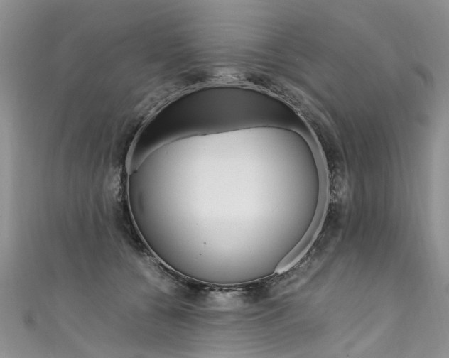 X0000111430560200907131043