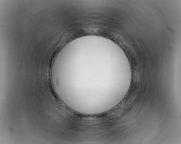 X0000111430561200907131043