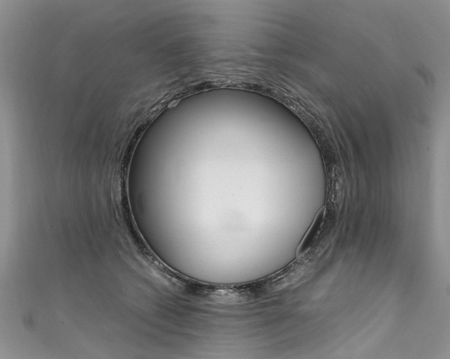 X0000111430562200907131043