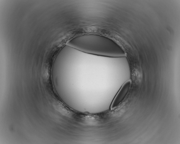 X0000111430566200907131043