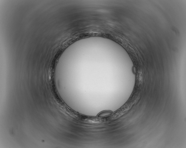 X0000111430567200907131043
