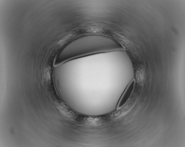 X0000111430570200907131043