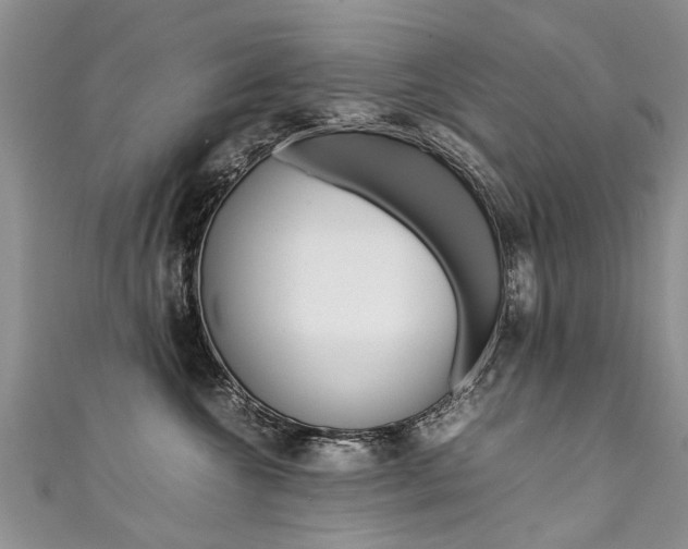 X0000111430572200907131043