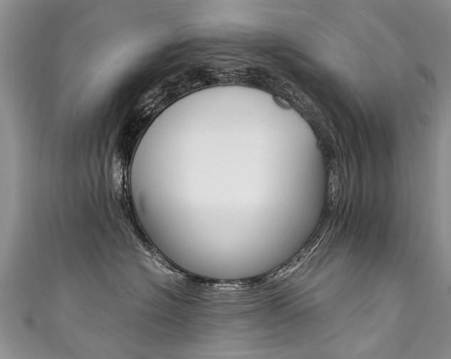 X0000111430574200907131043