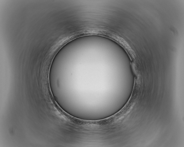 X0000111430577200907131042