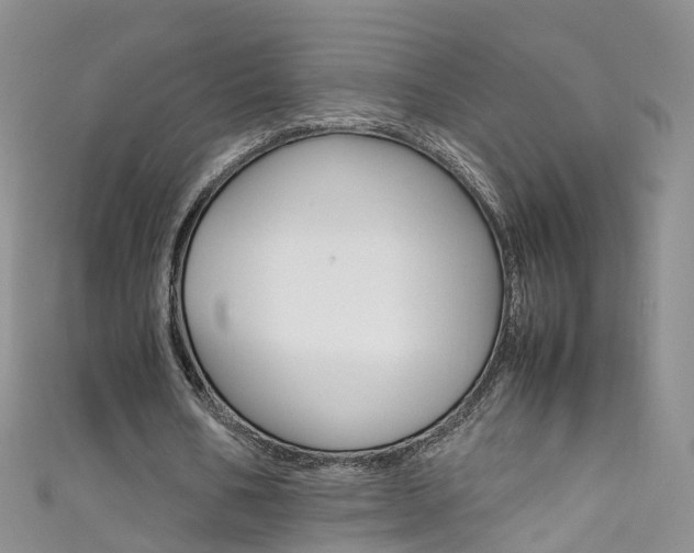 X0000111430578200907131042