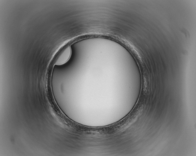 X0000111430580200907131042
