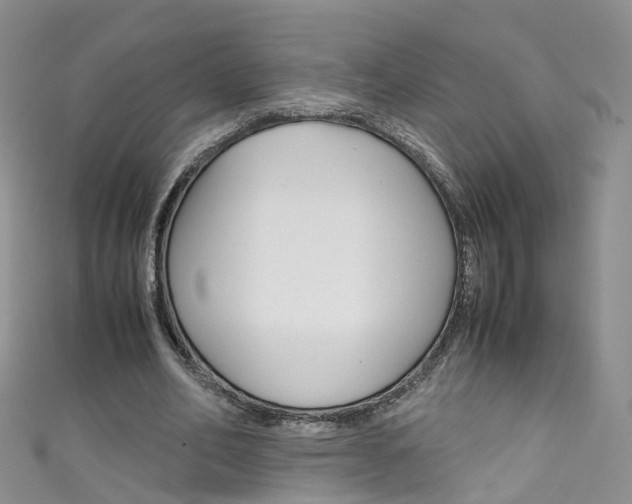 X0000111430582200907131042