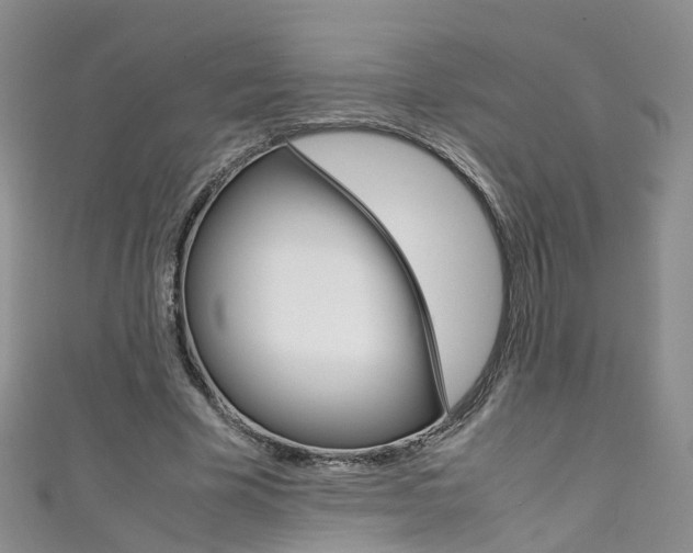 X0000111430585200907131042