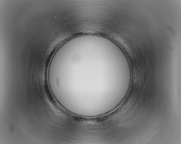 X0000111430586200907131042