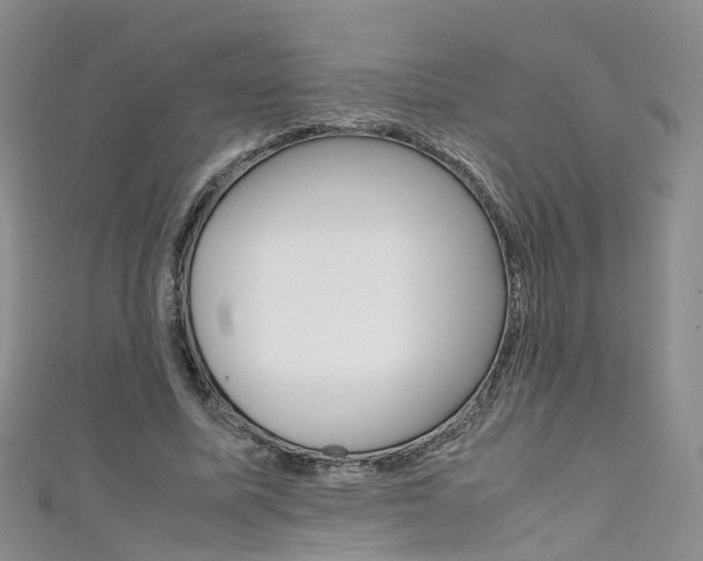 X0000111430587200907131042