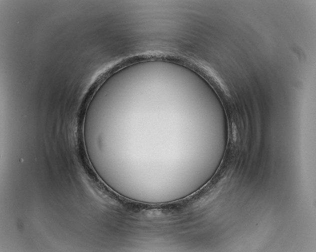 X0000111430588200907131042