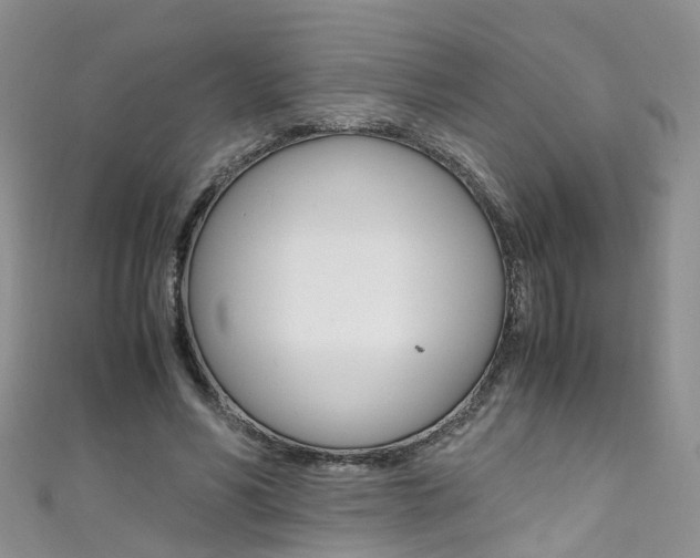 X0000111430590200907131042