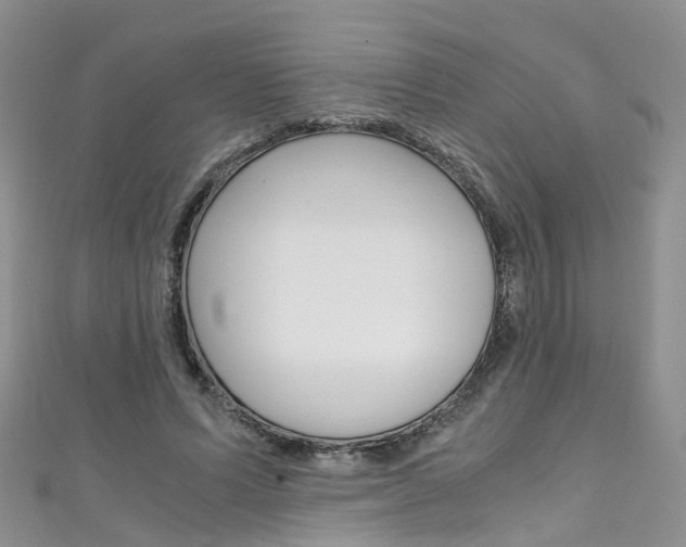 X0000111430591200907131042