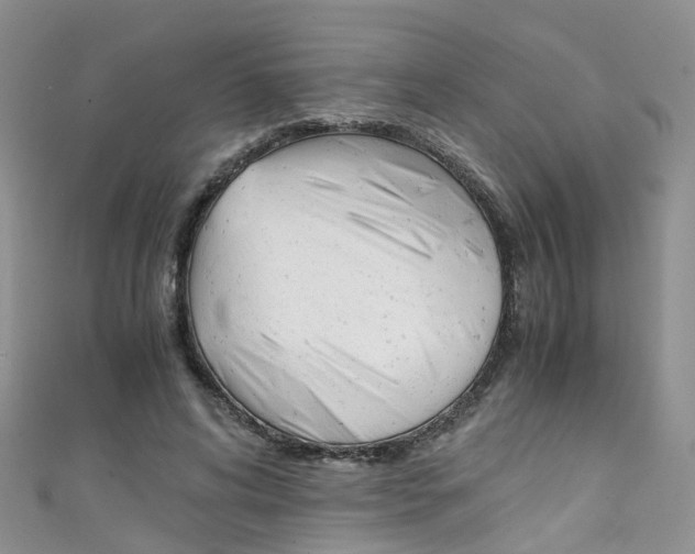 X0000111430592200907131042