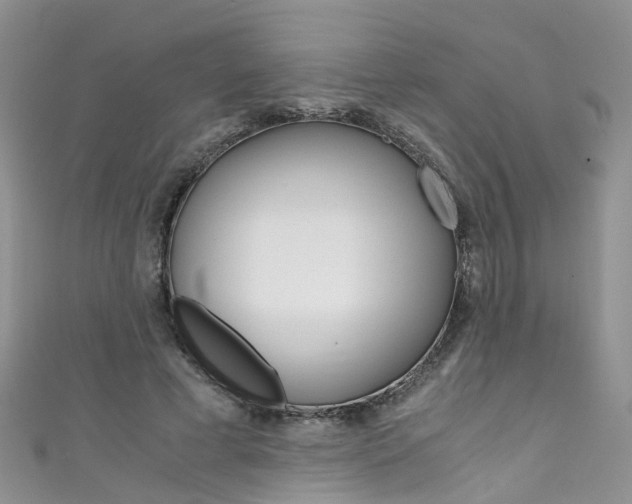 X0000111430593200907131042