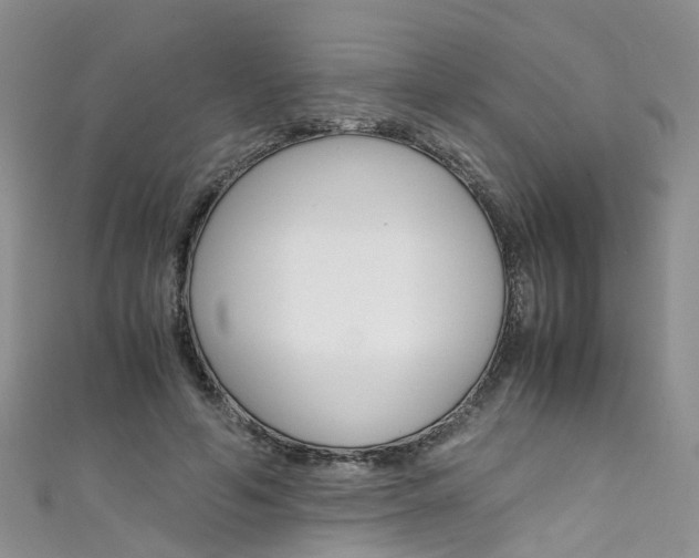 X0000111430594200907131042