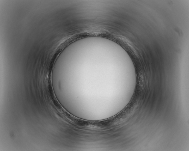X0000111430596200907131042