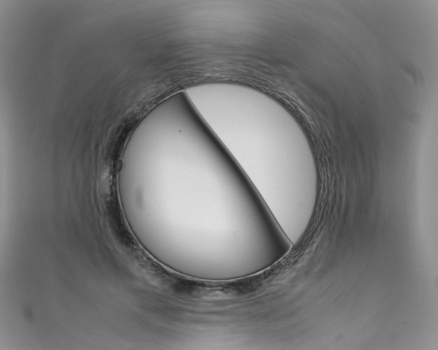X0000111430597200907131042