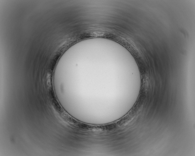 X0000111430598200907131042