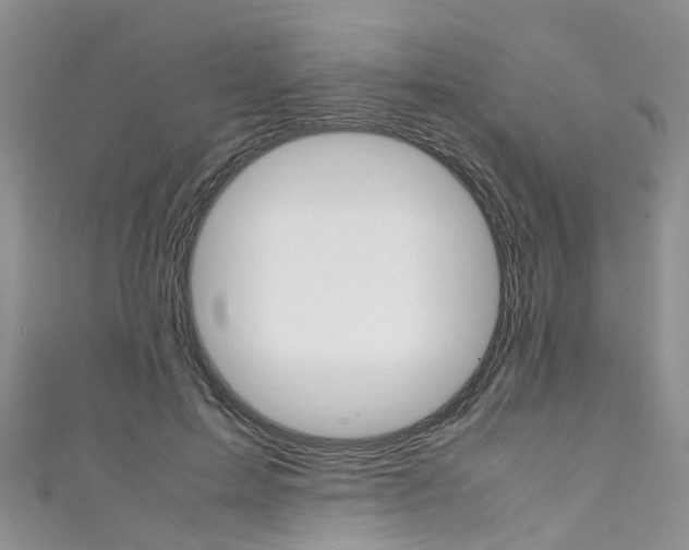 X0000111430599200907131042