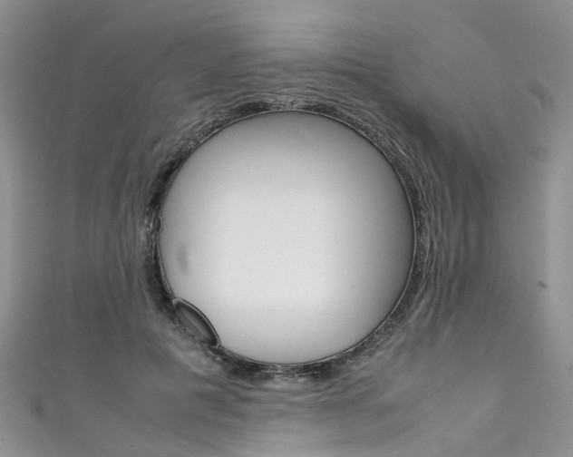 X0000111430601200907131042