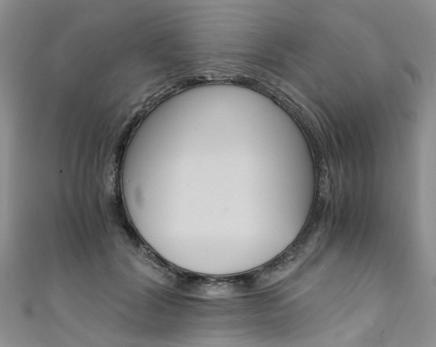 X0000111430604200907131042