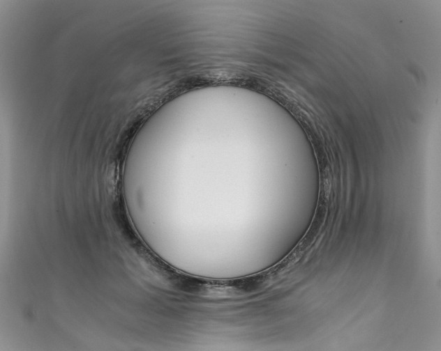 X0000111430605200907131042