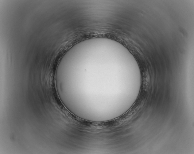 X0000111430608200907131042