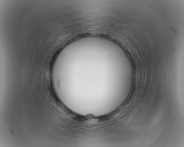 X0000111430609200907131042