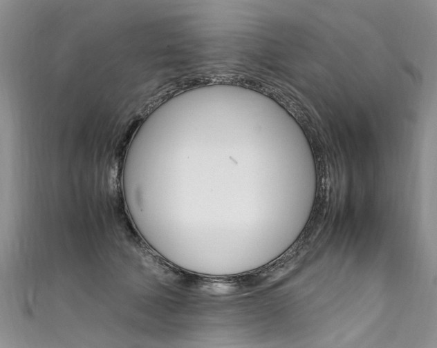 X0000111430610200907131042