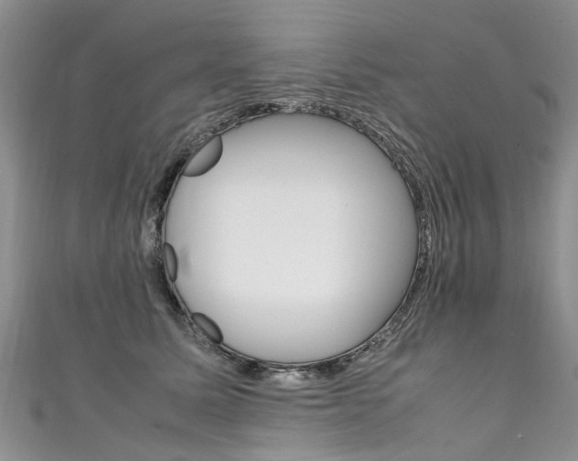 X0000111430611200907131042