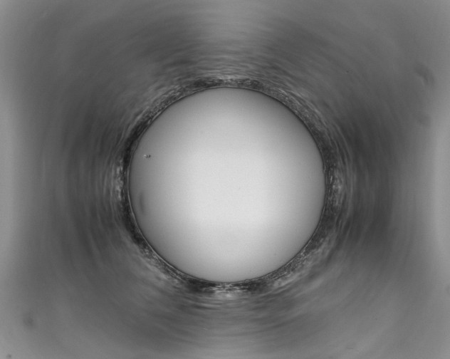 X0000111430612200907131042