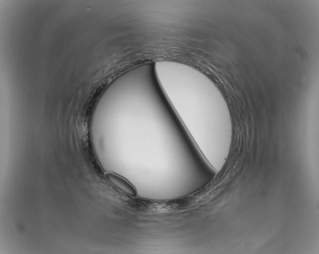 X0000111430613200907131042