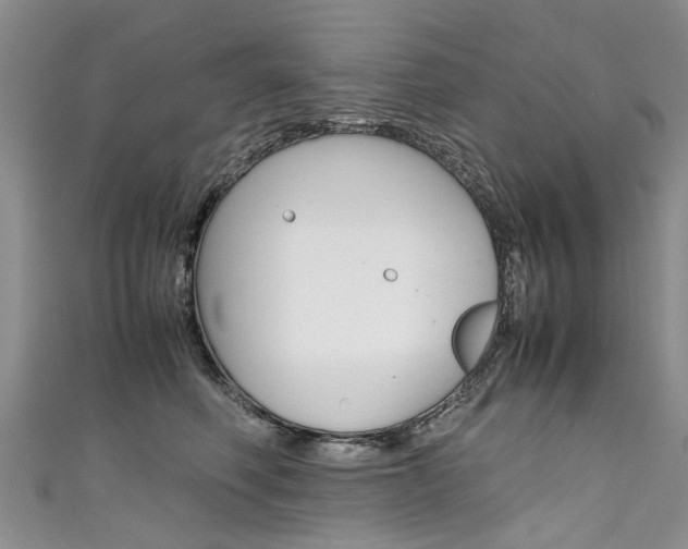 X0000111430614200907131042