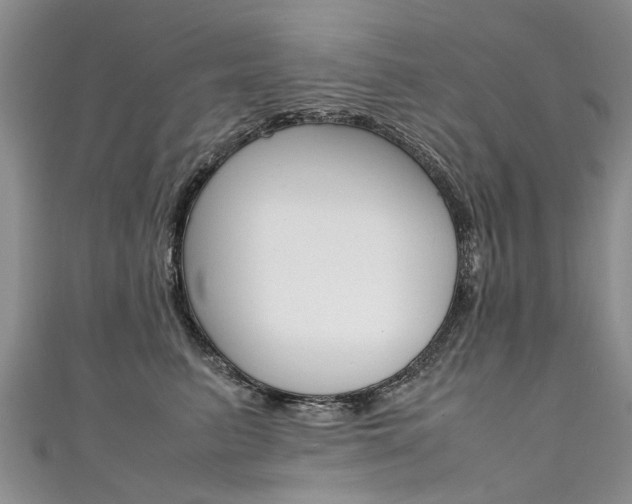 X0000111430615200907131042