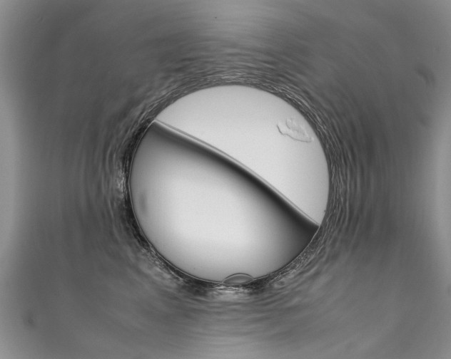 X0000111430617200907131042