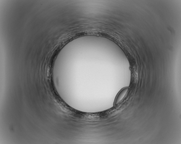 X0000111430619200907131042