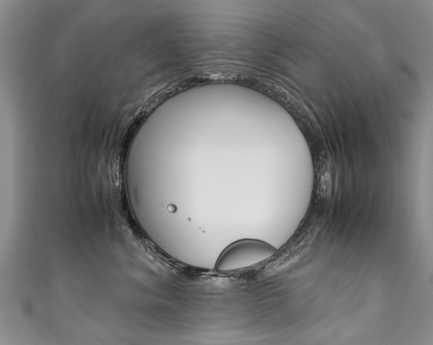 X0000111430620200907131042