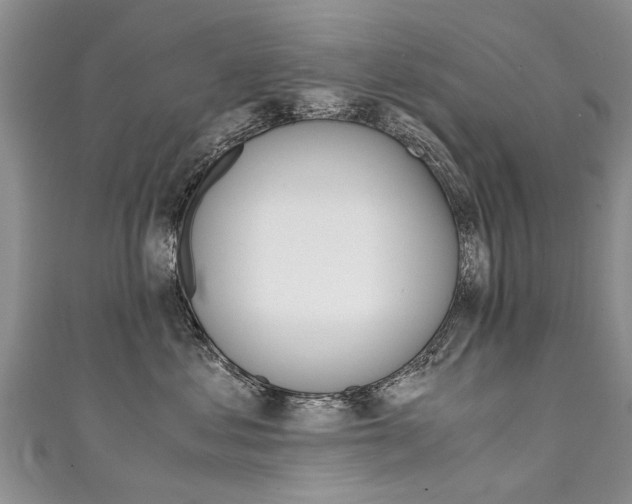 X0000111430621200907131042